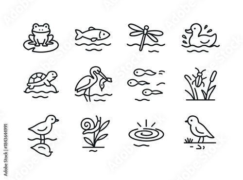 Pond Wildlife Icons. Pond Wildlife Interaction. Line icon set of