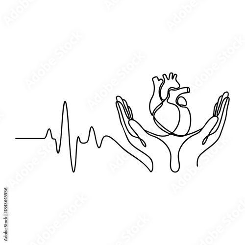 Real anatomical human heart shape formed by EKG rhythm. Continuous one line drawing for cardiology, surgery and cardiovascular health.