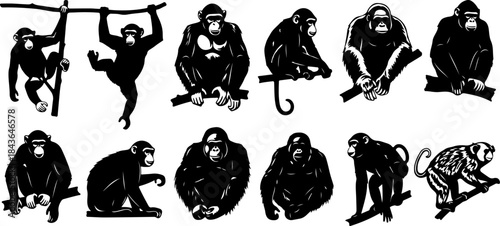 Monkey Silhouette Collection – Primate Poses Black Vector Set