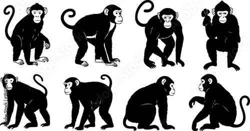 Monkey Silhouette Collection – Primate Poses Black Vector Set