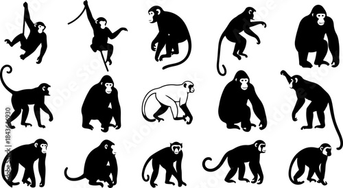 Monkey Silhouette Collection – Primate Poses Black Vector Set