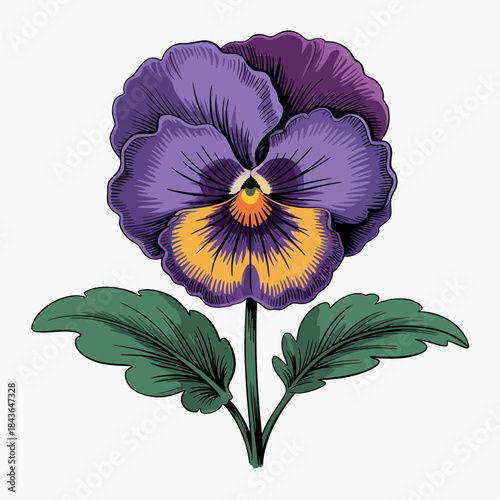A beautifully detailed purple pansy flower stands out against a clean background, representing nature's elegance, simplicity, and the artistic beauty found in floral designs.