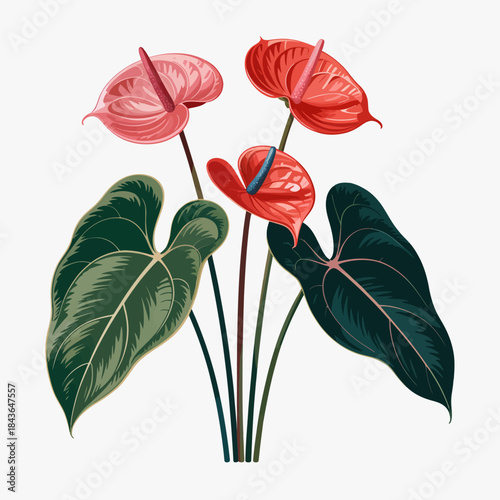 This stunning illustration features colorful anthurium flowers with glossy leaves, capturing the rich textures and vibrant hues of nature's beauty in botanical art design.