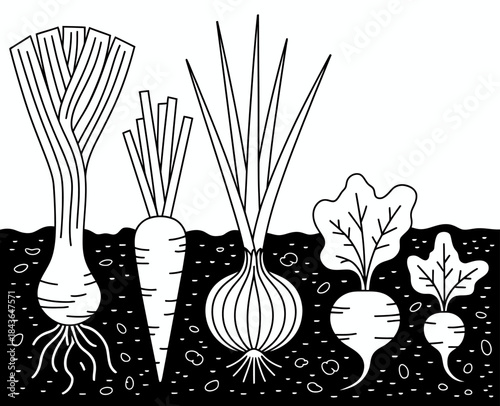 A vibrant illustration depicting various vegetables like leeks, carrots, and radishes growing in soil, showcasing their roots and leafy greens above the ground.