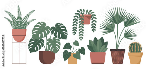 This vibrant image showcases a variety of houseplants beautifully arranged, highlighting the diversity and beauty of indoor flora, perfect for adding life to any indoor space.