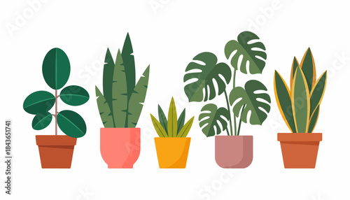This image presents a charming collection of various indoor plants in stylish pots, embodying a sense of nature, tranquility, and freshness in modern home decor.