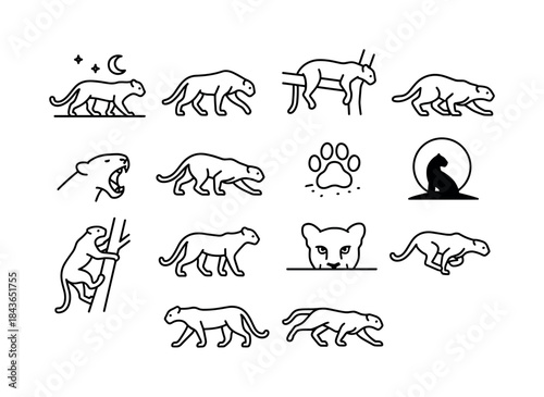Nocturnal Leopard Icons. Nocturnal Leopards. Line icon set of No