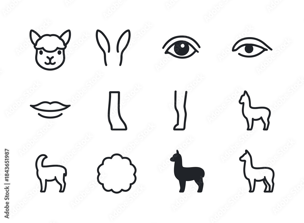 Fototapeta premium Alpaca Anatomy Icons. Alpaca anatomy. Line icon set of Alpaca an