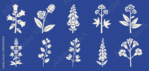 Toxic Garden Plants Wolfsbane Belladonna Foxglove Hemlock Oleander Castor Bean Blue Background