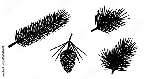 Detailed Black Silhouette of Pine Branches and Cone