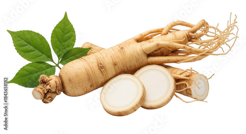 Fresh ginseng root with green leaves and sliced pieces on white isolated on transparent background