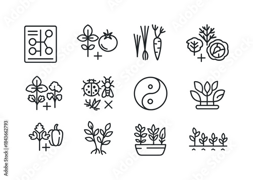 Herb Companion Icons. Herb companion planting. Line icon set of
