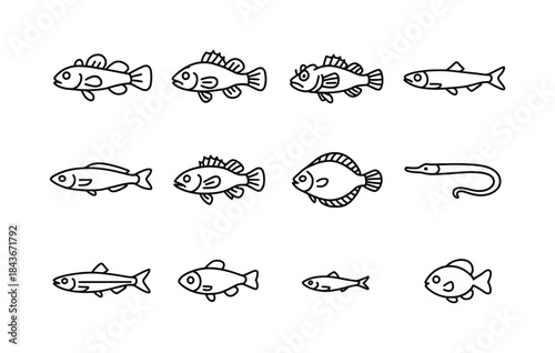 Shallow Water Fish Icons. Shallow water fish. Line icon set of s