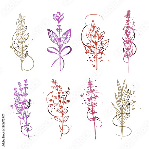 Natural Herbal Illustration Frame with Copy Space for Eco Design - Natural herb illustration forming a clean botanical frame with blank space for eco, wellness, and organic branding.