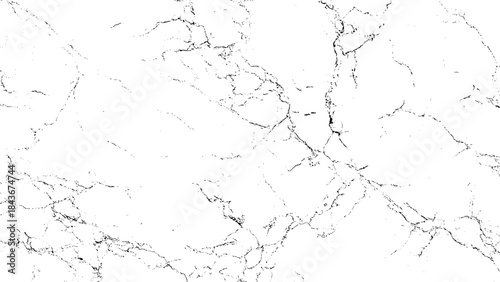 Marble Texture Pattern with Gray Veining Design