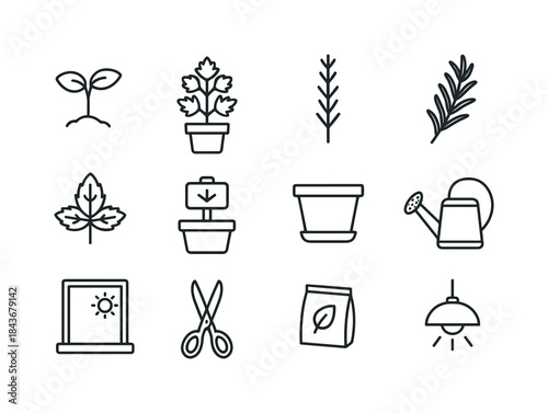 Herb Windowline Icons. Growing herbs on a windowsill. Line icon