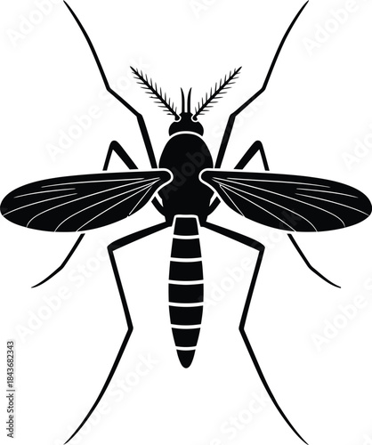 Black and white illustration of a mosquito on white background isolated on white background
