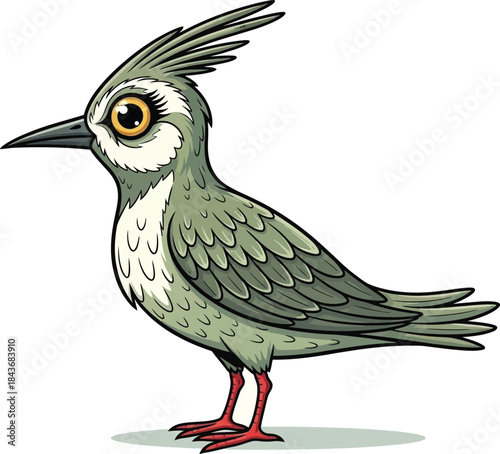 Illustration of a bird with distinctive crest and red legs isolated on white background