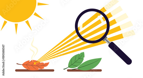 Science experiment showing a magnifying glass focusing the sun's rays to burn a dry leaf, demonstrating the power of light.