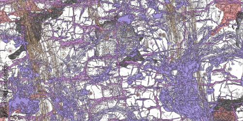 Light Multicolor vector pattern with wry lines. Tall trees under snow cover. tree with green leaves and pink flowers, cercis siliquastrum, commonly called the tree of love, growing in urban areas.