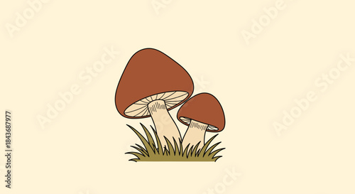 Two brown mushrooms with curved caps grow beside a smaller mushroom among tufts of green grass on a pale beige background in a simple nature illustration.