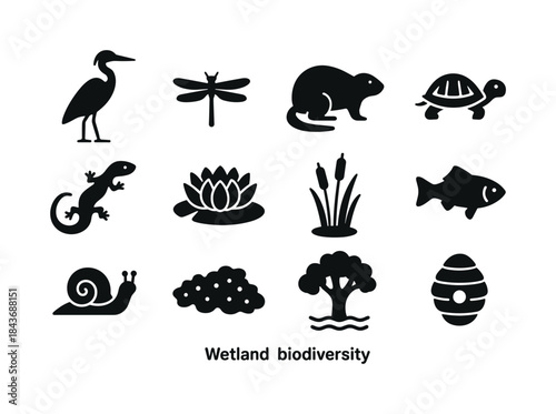 Wetland Wildlife Icons. Wetland biodiversity. Solid icon set of