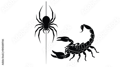 Detailed black silhouettes of two venomous arachnids, featuring a spider hanging from a thread and a scorpion with its tail raised.