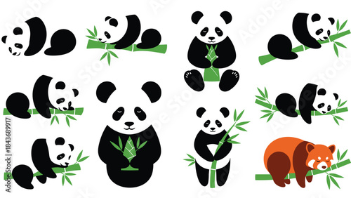 Large collection of cute panda and red panda illustrations in various poses, such as sleeping, sitting, and eating bamboo leaves.