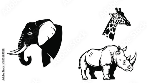 Bold black and white stencil drawings of large safari animals, including an elephant head, a giraffe head, and a full-body rhinoceros.