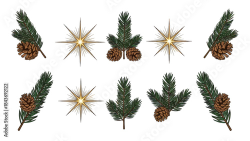 Christmas fir tree branches with pine cones and golden stars set isolated on white