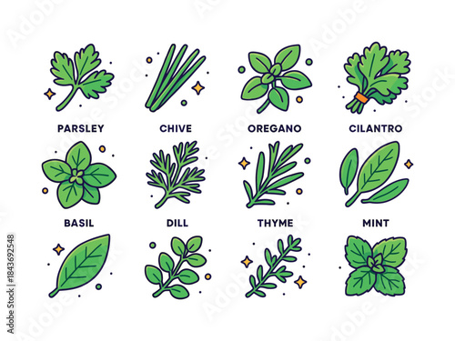 Colorful Herb Icons Grid. Herbs for cooking. Colorful isometric