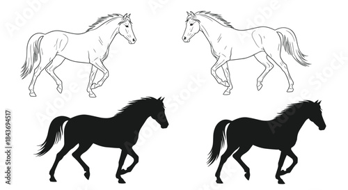 Set of trotting horse illustrations including a detailed black outline drawing and a solid black silhouette for equestrian designs.