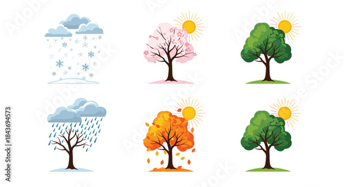 Set of illustrations depicting a tree throughout the four seasons showing the cyclical changes from snowy winter to leafy summer.