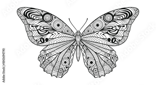 An intricately detailed butterfly illustration with zentangle patterns on its wings for a relaxing adult coloring book page.