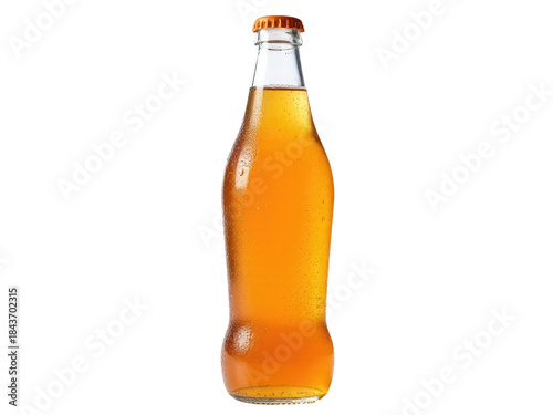A single bottle of beer on a white background