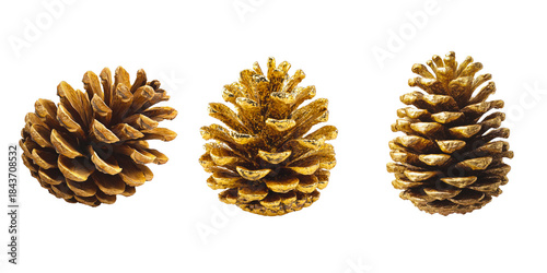 Photos set of golden pine cones isolated on transparent background