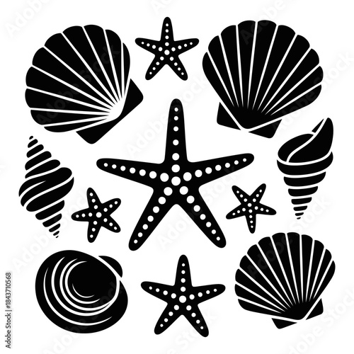 A circular pattern of black silhouettes featuring starfish and different kinds of seashells.