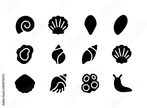Shell Icons Collection. Shells and mollusks. Solid icon set of s