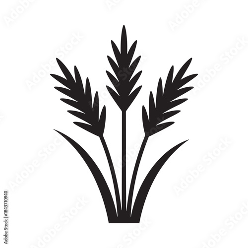 A simple black and white illustration of three rice plant stalks with leaves