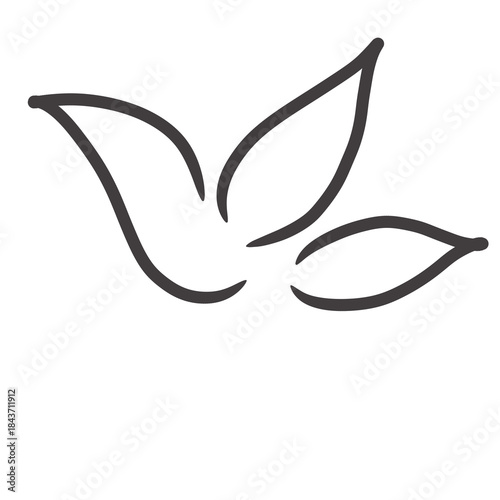 Ash Icon illustration hand-drawn art