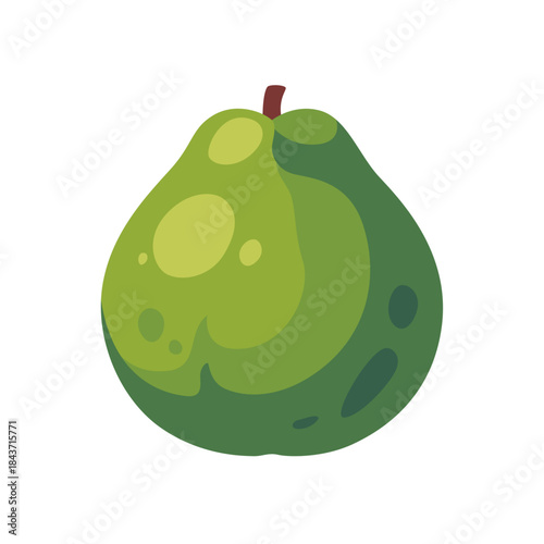 Green pomelo with stem and spots, fruit icon, isolated flat style vector illustration