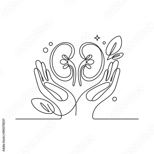 Line art illustration of human kidneys protected by caring hands with foliage