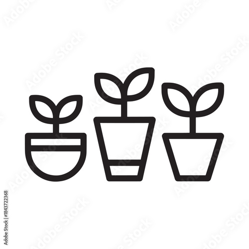 Simple illustration of three young plants growing in small pots
