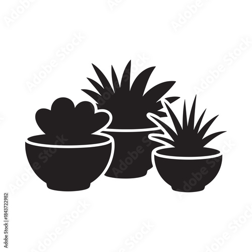 A collection of potted succulent plants in a simple black and white style