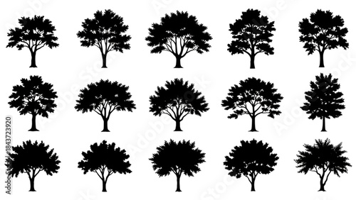 Tree Silhouette Illustration – Perfect for Nature Art, Crafts, and Home Decor Projects