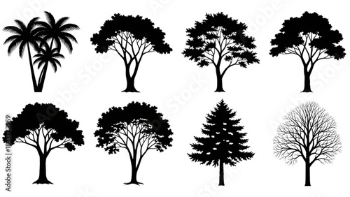 Tree Silhouette Illustration – Perfect for Nature Art, Crafts, and Home Decor Projects