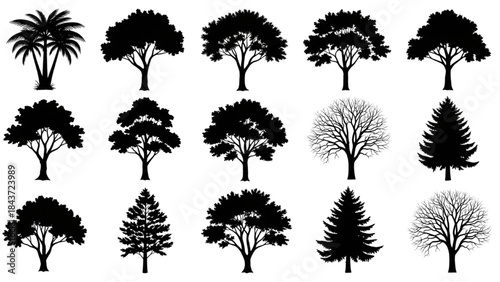 Tree Silhouette Illustration – Perfect for Nature Art, Crafts, and Home Decor Projects