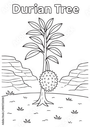 coloring book Durian tree growing between canyon rock hills