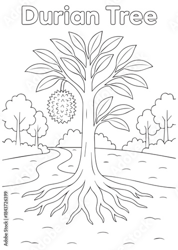 coloring book Durian tree with single fruit and long roots in forest
