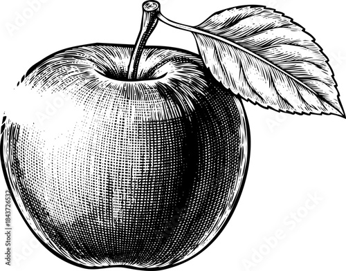 Black and white vintage engraving style illustration of an apple with a leaf and stem